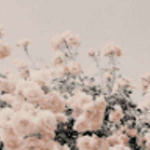 Meet your Posher, 23angela